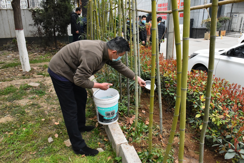 義務植樹活動